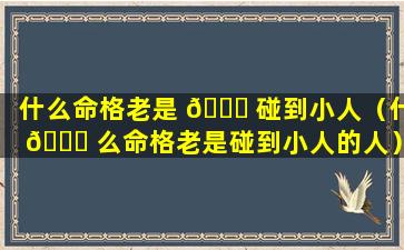 什么命格老是 🐟 碰到小人（什 🐒 么命格老是碰到小人的人）